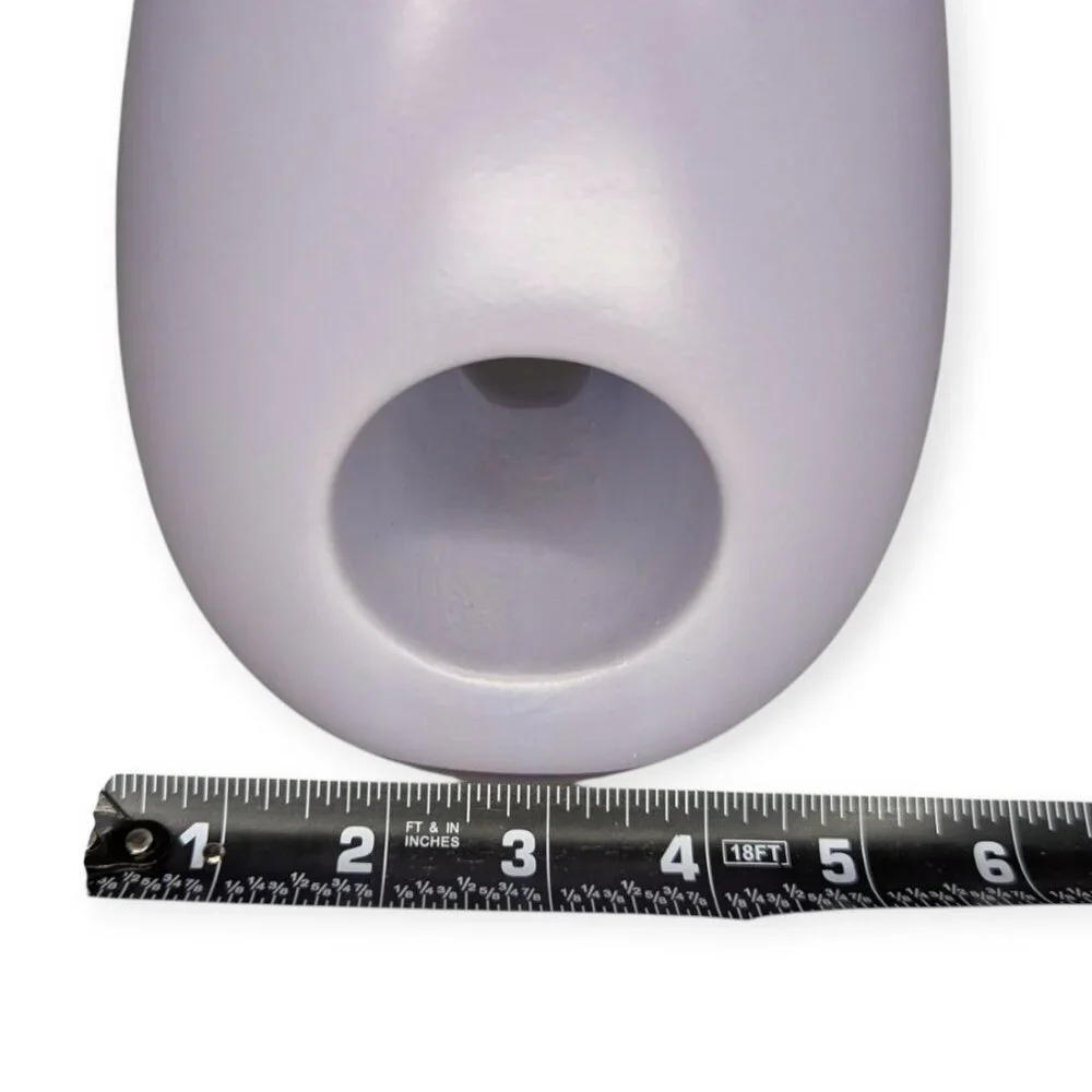 Unique Light Purple Ceramic Vase 12